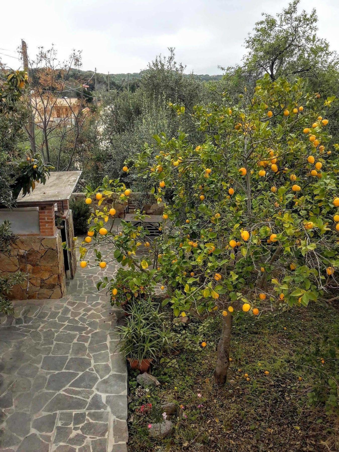 Villa Arancio Giorgio Cala Liberotto Luaran gambar
